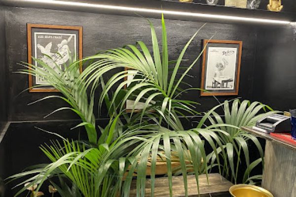 0BBDC253-BFDC-44B1-8B9E-916B2D91ADDB